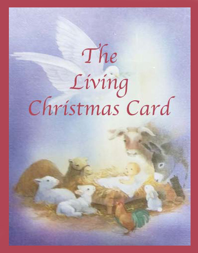 The Living Christmas Card – the script