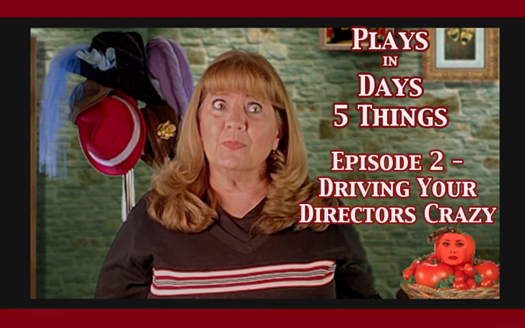 Blog #12 – 5 Things Ep. 2 – Driving Your Director Crazy