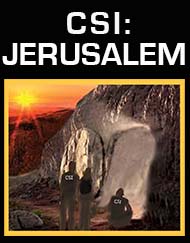 CSI: JERUSALEM - Perusal eScript